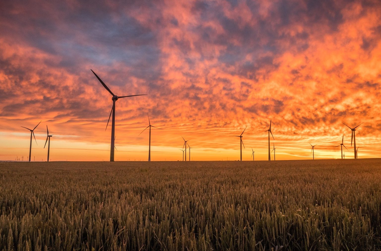 Biogaz ze składowiska odpadów